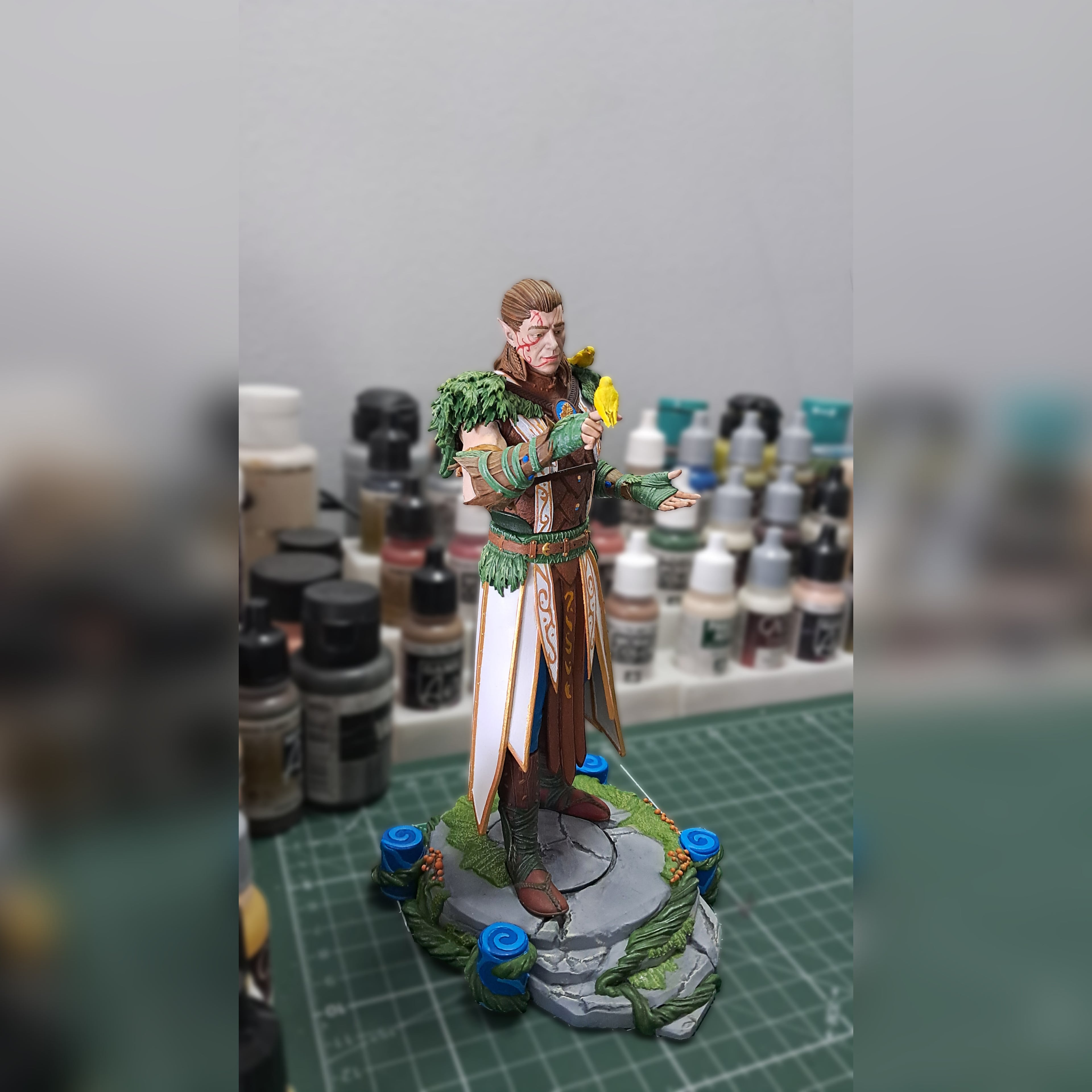 Halsin - Baldurs Gate Character